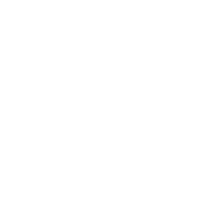 WAZDAN LOGO